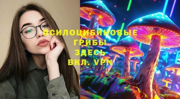 твердый Арсеньев