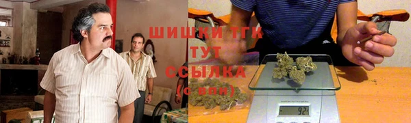 твердый Арсеньев