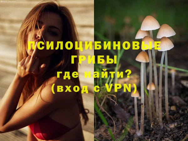 круглые Армянск