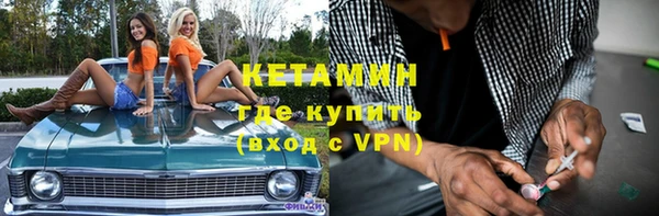 прущие грибы Медвежьегорск
