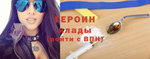 твердый Арсеньев