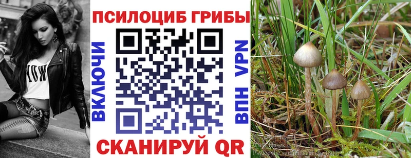 Псилоцибиновые грибы Psilocybe  как найти закладки  Октябрьск 